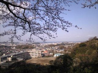 山頂付近から東京湾を望む