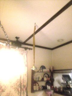 20100416haetori3.jpg