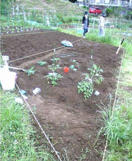 何となくそれらしくなってきた?
