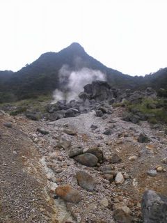 水蒸気が噴出す大涌谷は硫黄の臭いが立ちこめます