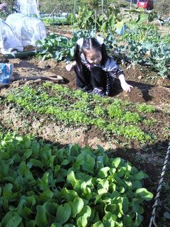 小さな手で上手に雑草を摘んでいきます。